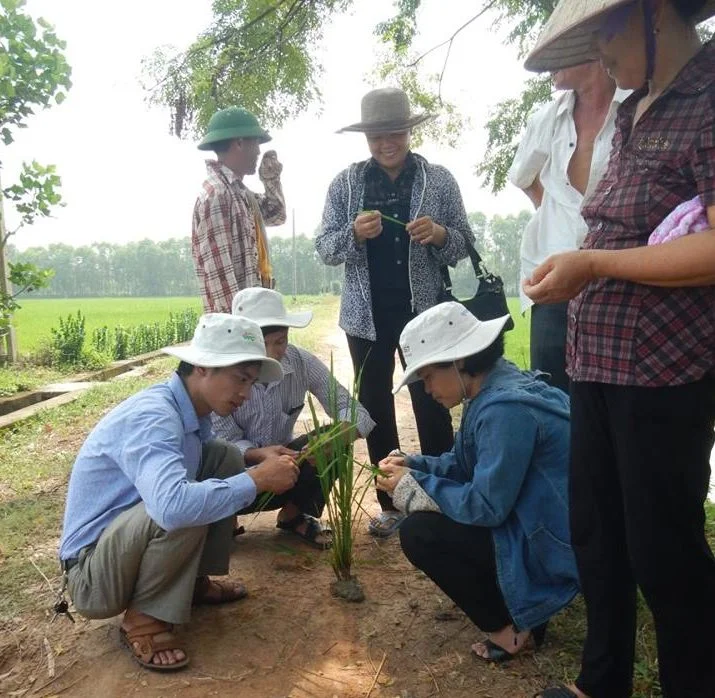 Community-based learning