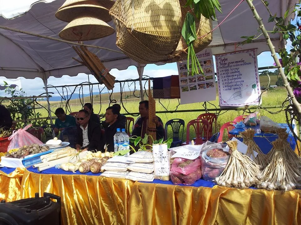 Food Security - farmers cooperation