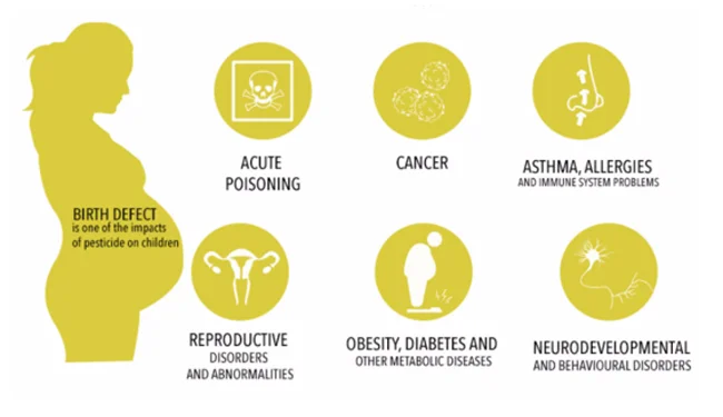 poc-newsletter-infographic-impacts-on-children