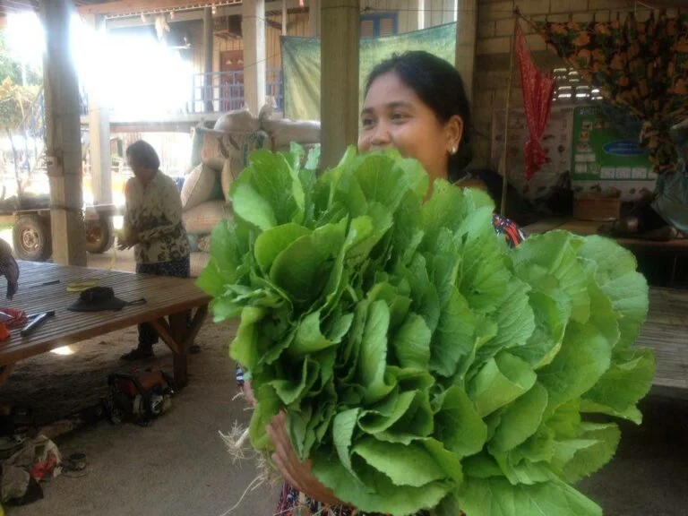 Poverty reduction - hugh vegetable