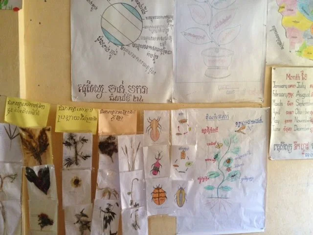 Community-based learning - students portfolio